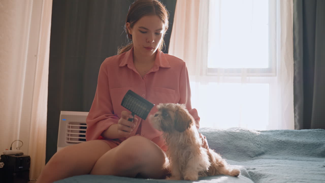 Female Owner Tenderly Cares For Her Fluffy Companion, Woman Lovingly Grooms Her Adorable Canine Friend Carefully, An Attentive Woman Affectionately Brushes And Cares For Her Soft And Furry Dog