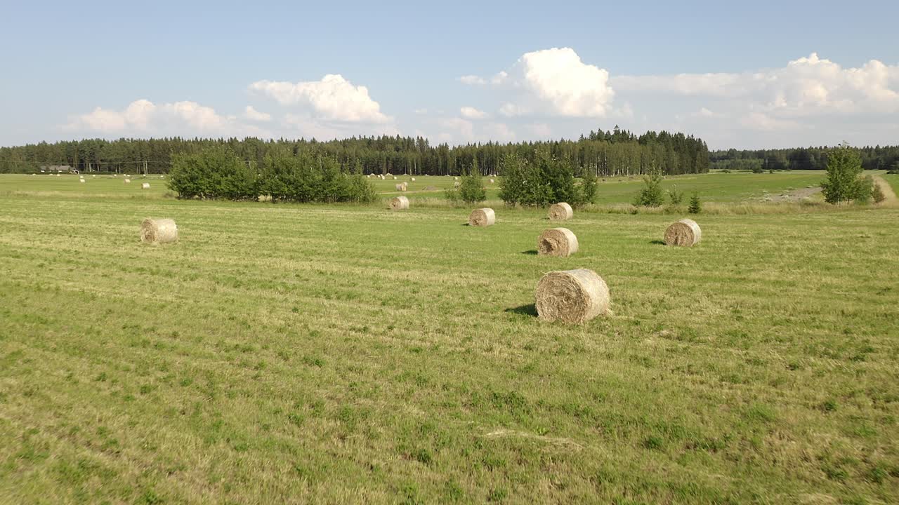 Low aerial point of view of round haybales on a large grassy field with blue skies scattered cloudsand forest in the background