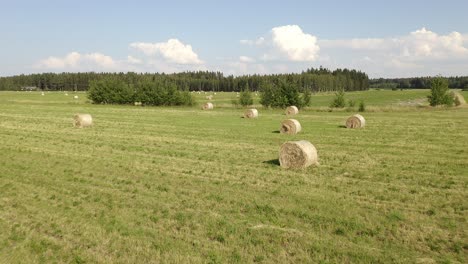 Punto-De-Vista-Aéreo-Bajo-De-Balas-De-Heno-Redondas-En-Un-Gran-Campo-De-Hierba-Con-Cielos-Azules-Nubes-Dispersas-Y-Bosque-En-El-Fondo