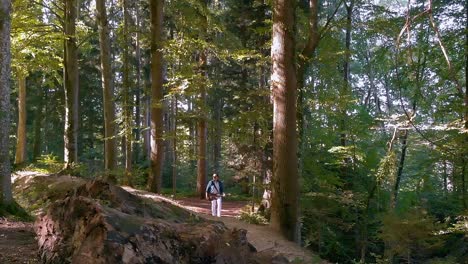 un músico con guitarra caminando por el bosque