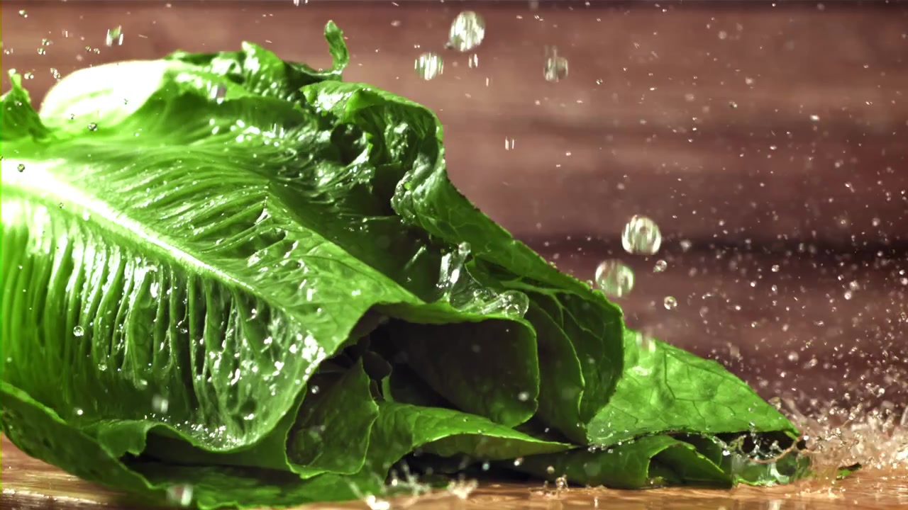 Lattuga romana fresca che cade e schizza acqua al rallentatore