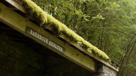 Close-up-shot-of-Disused-station-building-at-Cynonville-Station