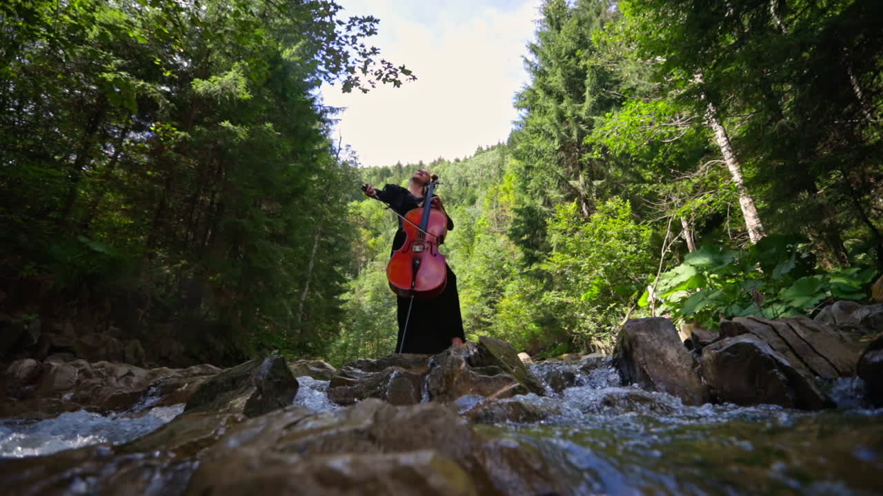 Musician playing the cello. Woman performing music on cello outdoor