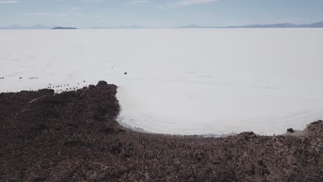 varios vehículos se reúnen en el medio de las llanuras de sal bolivianas