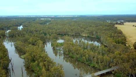 imágenes de drones del puente de la autopista del valle de murray sobre el río de los hornos y las llanuras aluviales de eucaliptos donde se une al río murray cerca de bundalong, victoria, australia