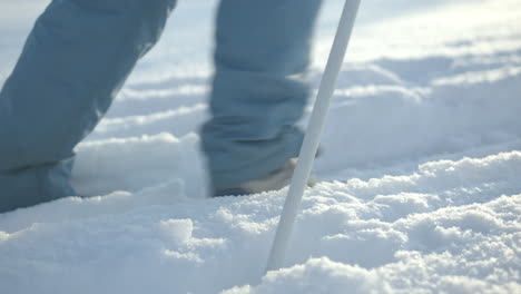 person measuring snow depth