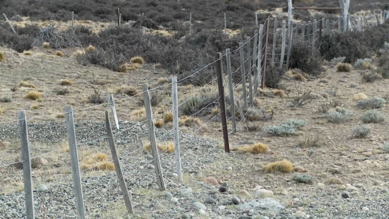 одинокий забор на продуваемых ветрами равнинах патагонии 2