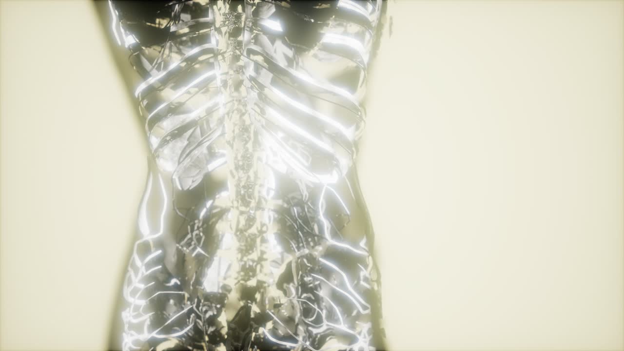 inspección de la sangre en los vasos sanguíneos del sistema circulatorio