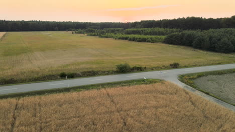 Vista-Aérea-Ascendente-De-Campos-Agrícolas-Dorados,-Camino-Vacío-Y-Bosque-Durante-La-Puesta-De-Sol