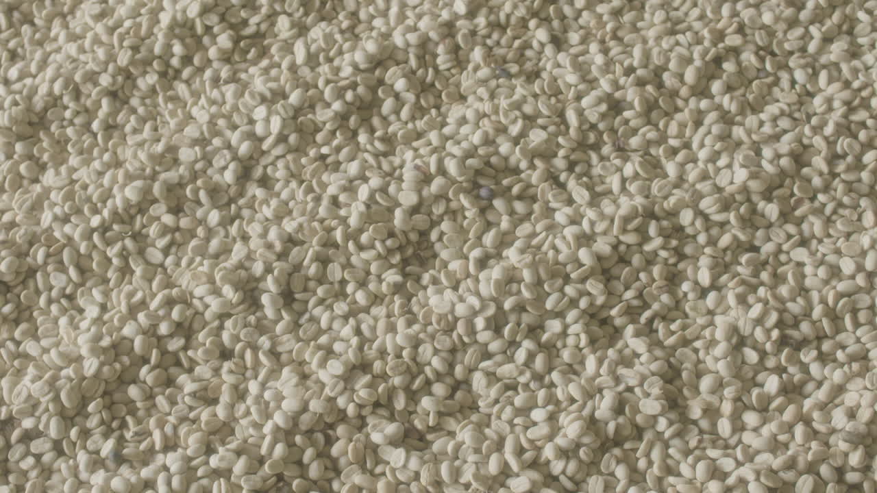 huila colombia의 커피 농장에서 토스트 과정을 위한 커피 준비