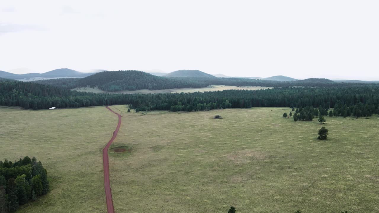 antena: pistas de tierra todoterreno a través del desierto del campo forestal, panorámicas