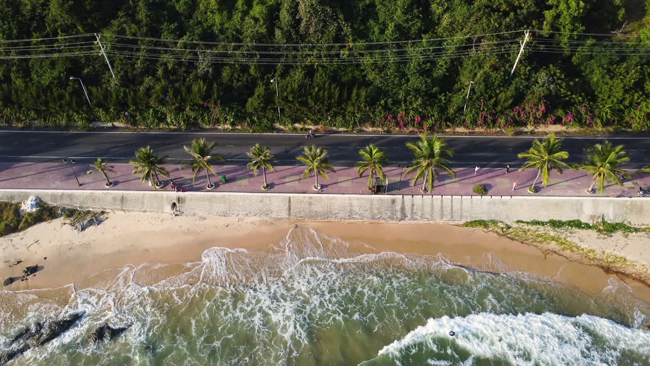 Vista aérea de coches conduciendo en una costa tropical con palmeras, olas llegando a la orilla.