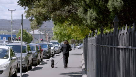 mujer paseando a su perro en un paseo lateral en lst park durante un día soleado