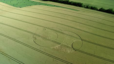 Wootton-Rivers-Wiltshire-Patrón-De-Círculo-De-Cultivo-Paranormal-En-Campo-De-Tierras-De-Cultivo-Verde-Vista-Aérea-De-Drones-Ojo-De-Pájaro-órbita-Izquierda