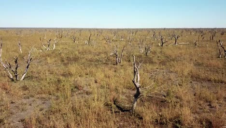 long desert dirt road aerial view in botswana amazing dry lake