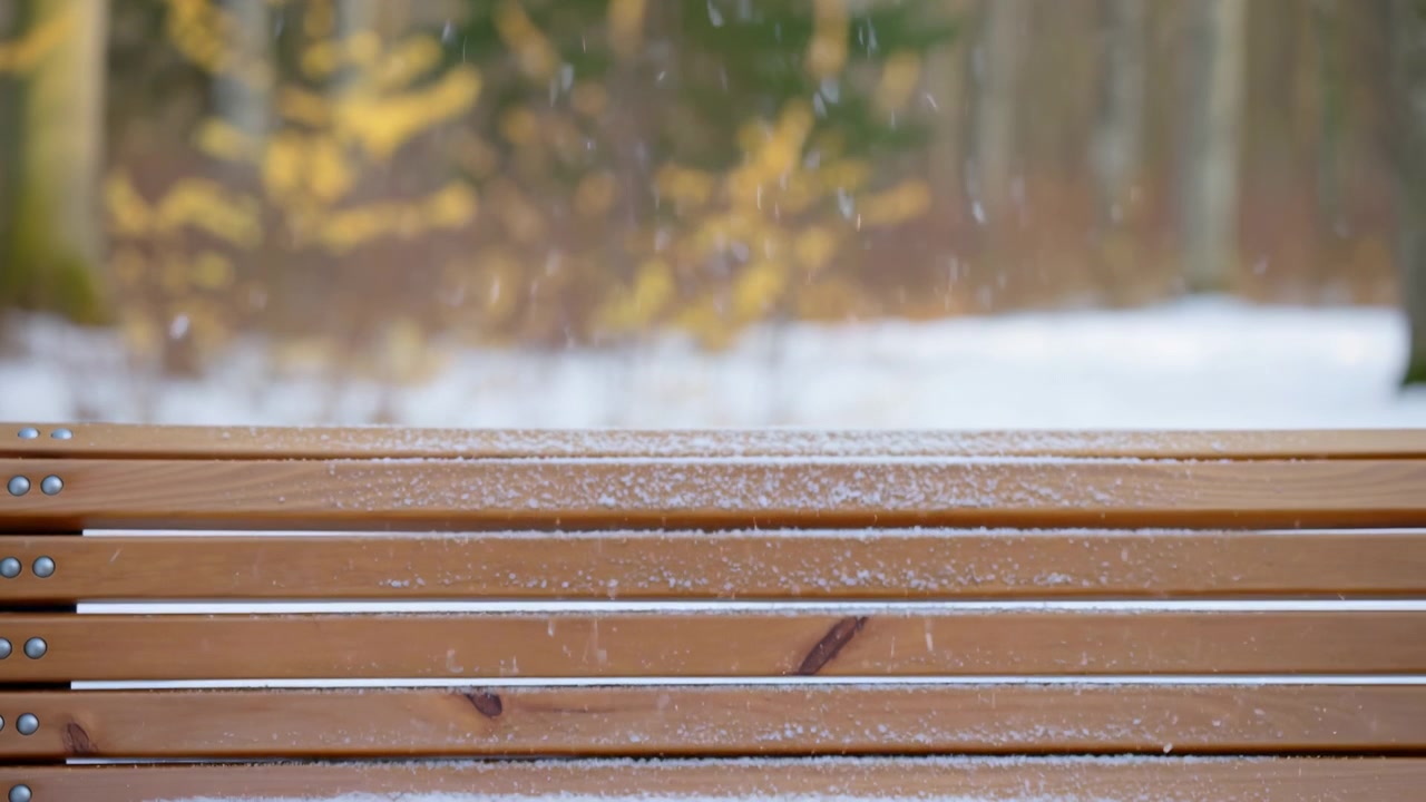 Panchina di legno con leggera copertura di neve in una foresta tranquilla durante l'inverno, mostra doghe orizzontali consumate, luce diurna soffusa e messa a fuoco superficiale dello sfondo mentre la scena esterna rimane immobile e calma