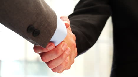 two-businessmen-shaking-hands