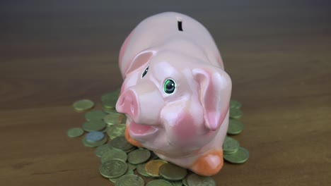 a hand is putting a coin in a lifestyle piggy bank on a yellow background.