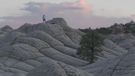 a zoomed-in drone raising altitude to reveal the famous lone tree and a male subject standing on top of the unique sandstone rock features of white pocket arizona at sunset with parallax