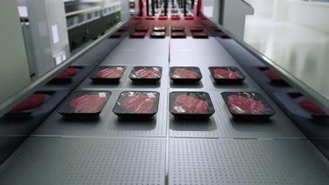 packaged raw meat trays on a conveyor belt in a factory