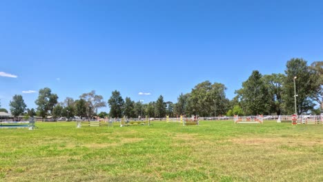horses and riders in a grassy field