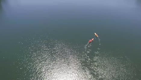 Vista-Aérea-De-Practicantes-De-Paddle-Surf-En-El-Lago-Ladybird,-Austin,-Texas