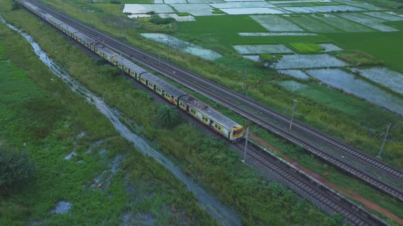 Train passing through rice fields