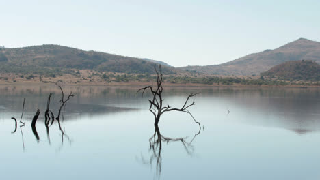 Escena-De-La-Naturaleza-En-Sudáfrica