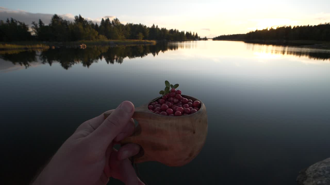POV Hiker holding cup of lingonberries at calm Nordic lake