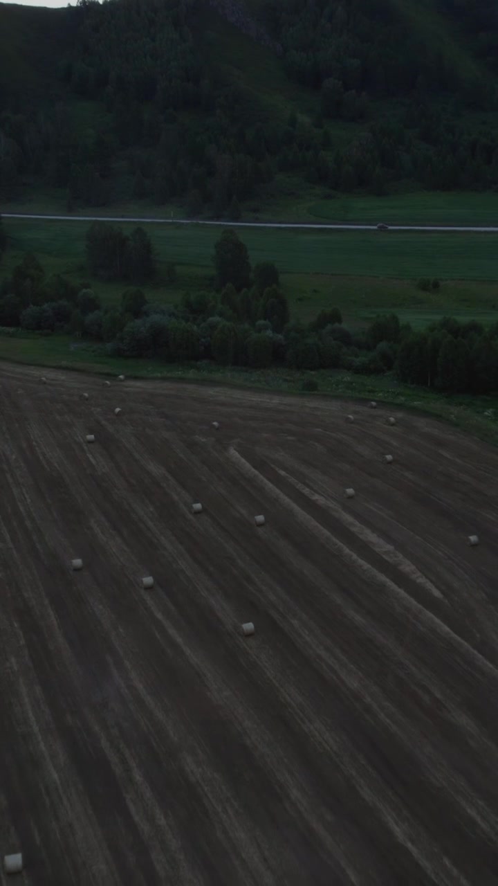 Drone footage of hay bales scattered across a harvested field with forested hills and a rural road at dusk near Zamulta village, Altai Republic, Russia