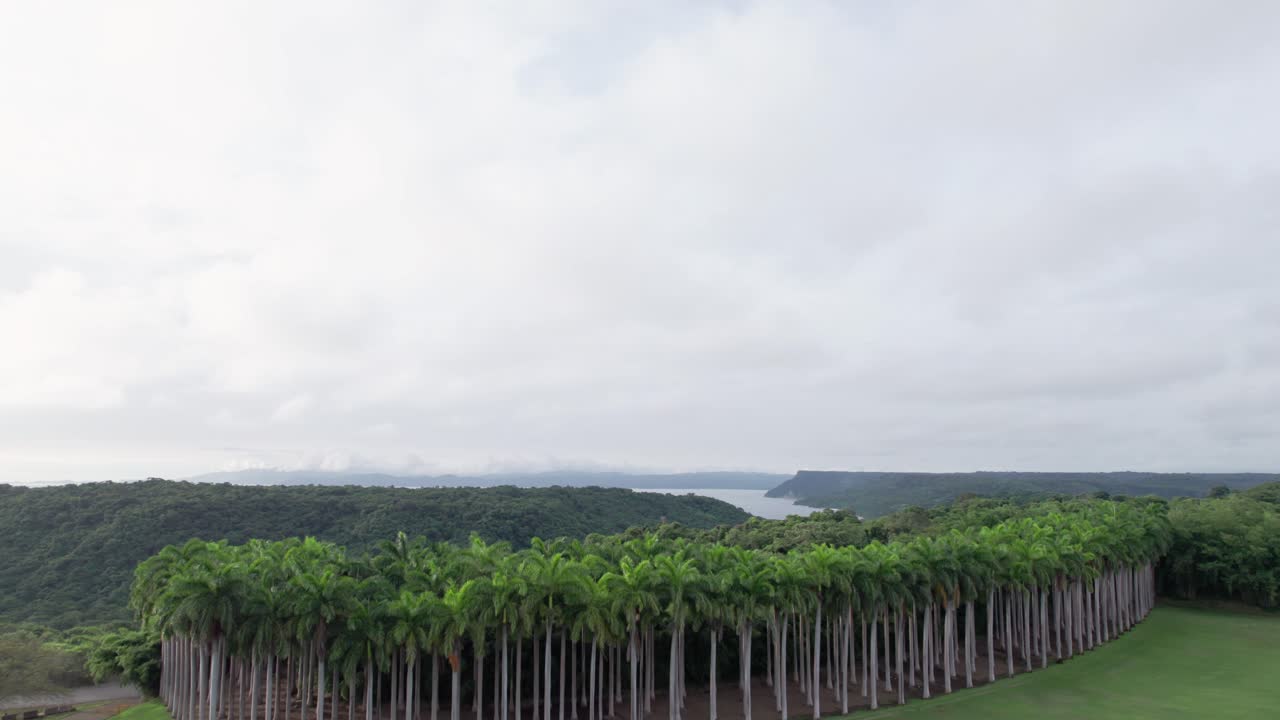 파파가요 반도는 코스타리카의 놀라운 자연 아름다움을 보여줍니다.