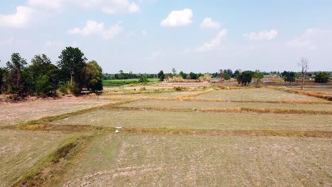 aerial top view by drone shot