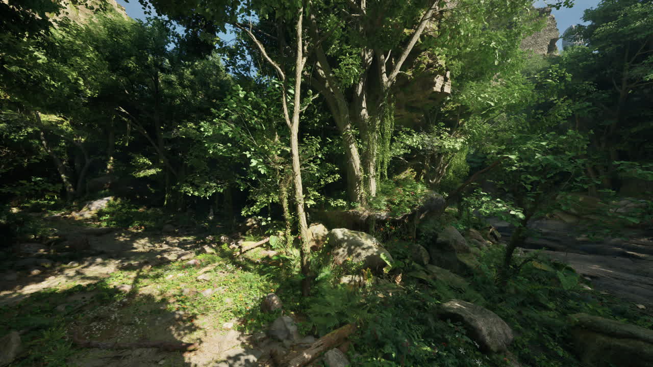 흐르는 하천이 있는 울창한 숲