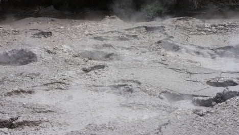 Pozas-De-Lodo-Burbujeando-En-Rotorua,-Nueva-Zelanda