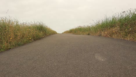 disparo en ángulo bajo de camino pavimentado entre dunas y hierba de dunas en long beach, ee.uu.