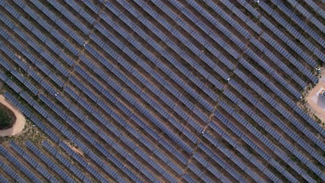 top view on solar panel photovoltaic field
