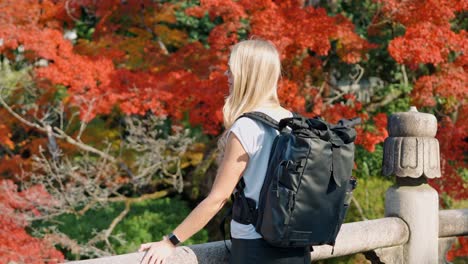 a young blonde woman stands gracefully on a traditional wooden bridge in kyoto, japan, surrounded by vibrant red maple leaves during peak autumn.