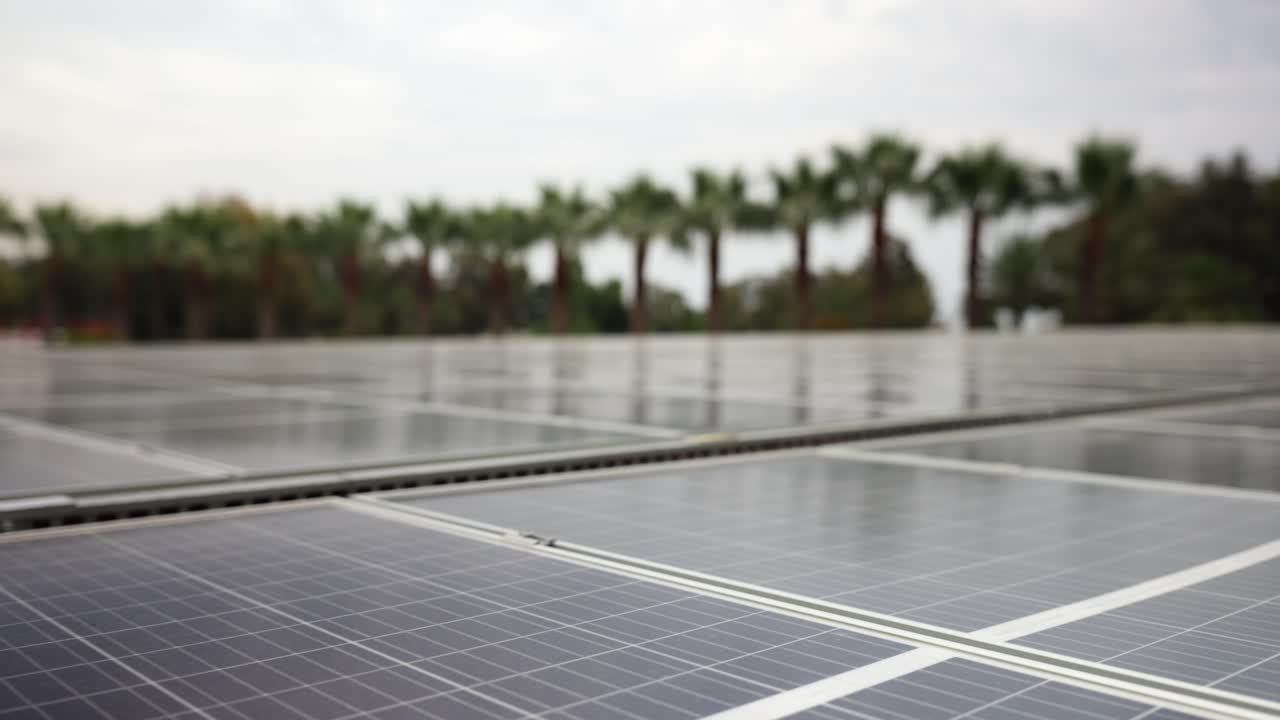 Solar Panels with Palm Trees in the Background