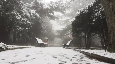 heavy snowfall on a park with benches and surrounded by trees during winter in the mtatsminda park, tbilisi, georgia