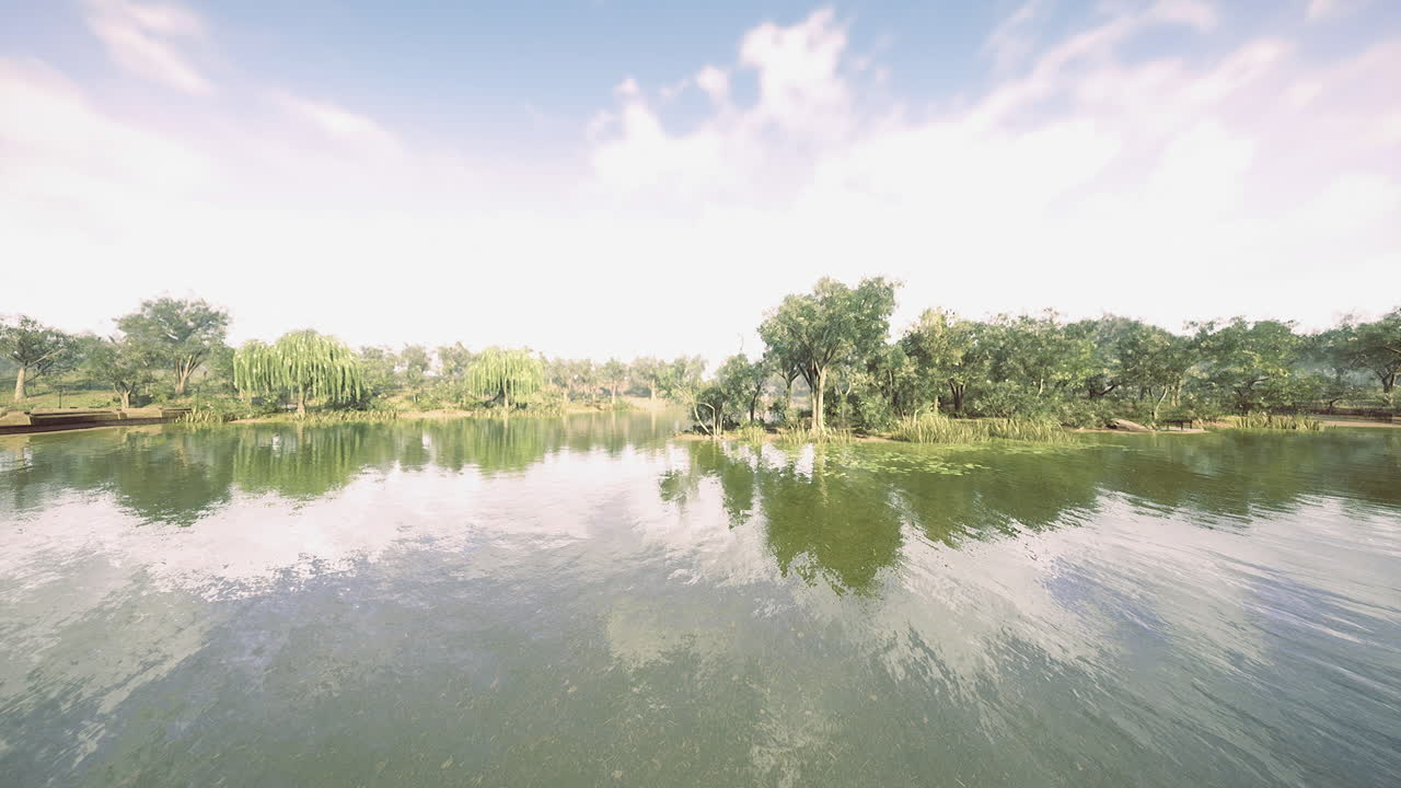 A calm lake mirrors surrounding trees enhancing the serene atmosphere