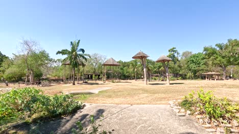 paisaje exuberante con caminos y vegetación