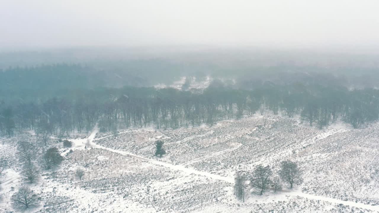 Luftaufnahme einer schneebedeckten Winterlandschaft über dem Nationalpark Veluwe