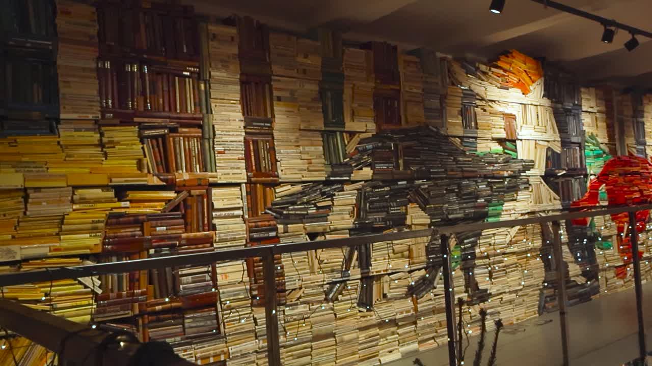 imágenes de una estantería de libros de la biblioteca artística en tallin en un lugar llamado leer donde los libros están dispuestos como lobos persiguiéndose entre sí en el bosque. las estanterías están llenas de libros antiguos vintage educativos.