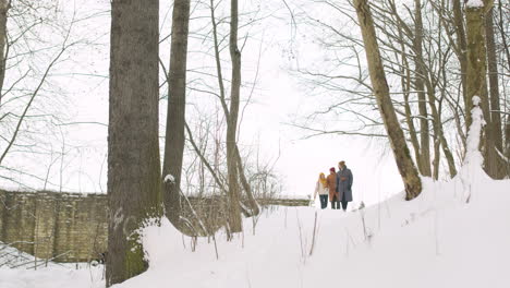 visão distante de três amigos em roupas de inverno caminhando em uma floresta de inverno