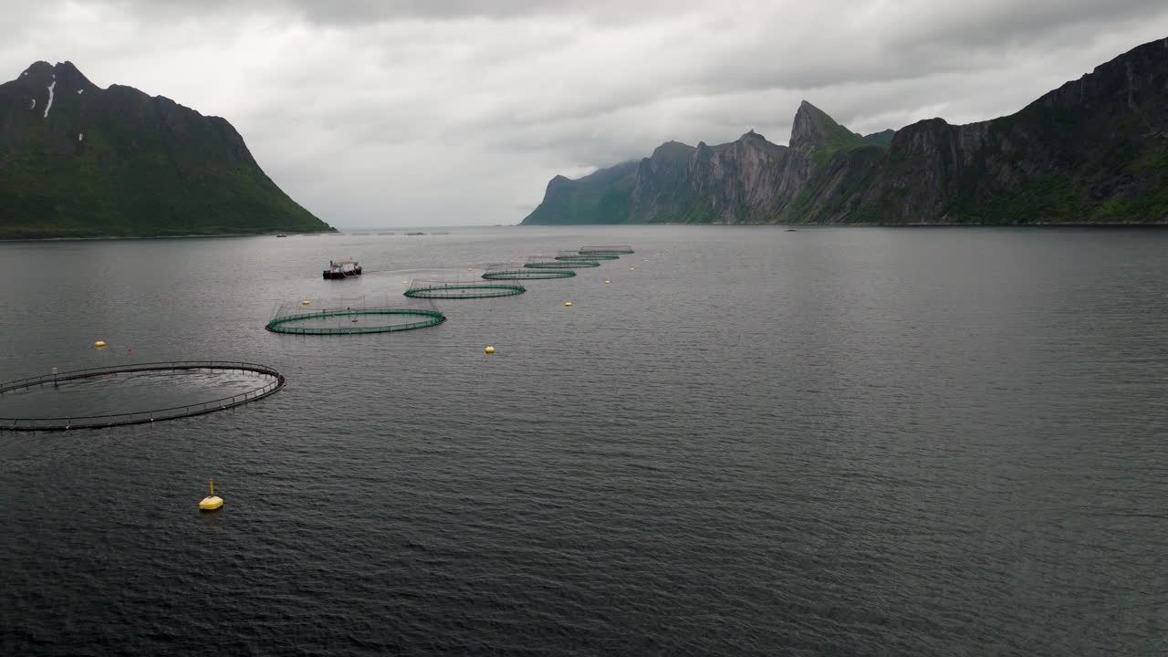 Round marine salmon pens of aquaculture farm in Norwegian fjord at Senja. Aerial