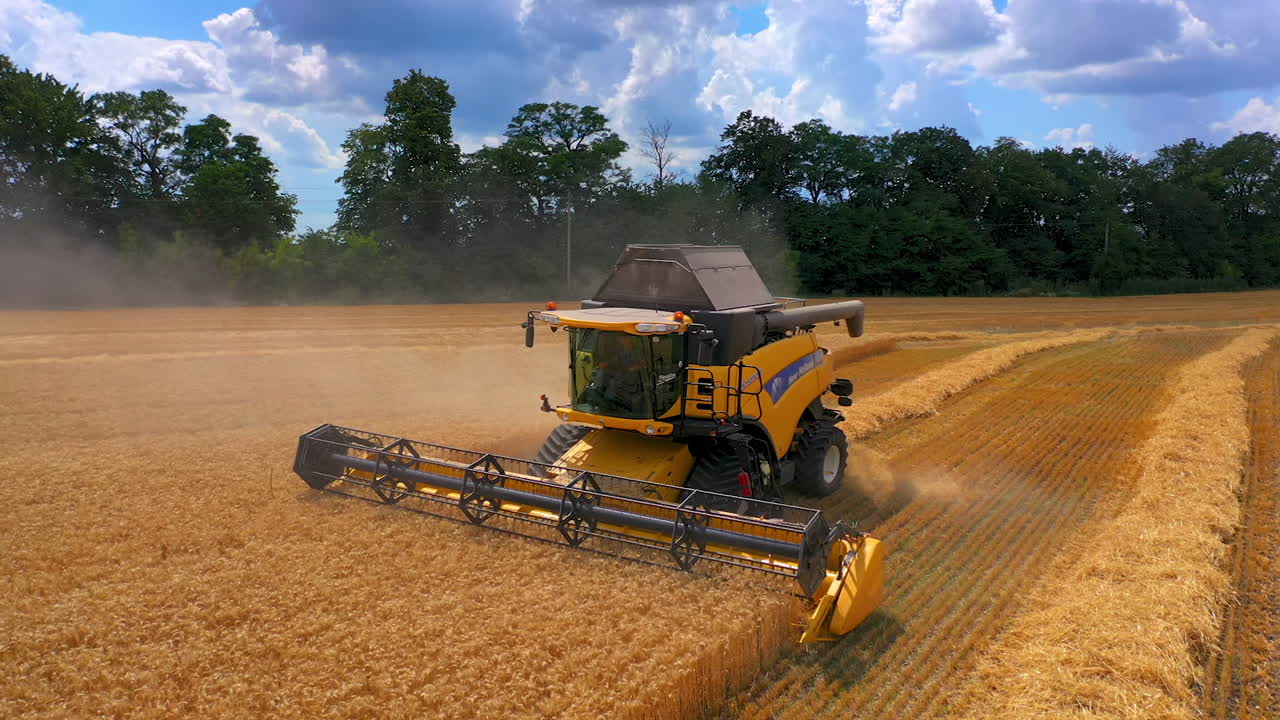 Combine harvester in action on the field. Combine harvester. Harvesting machine for harvesting a wheat field.