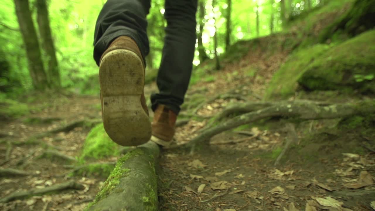 Ripresa ravvicinata al suolo al rallentatore di un uomo che cammina sulle radici in una foresta verde e naturale.