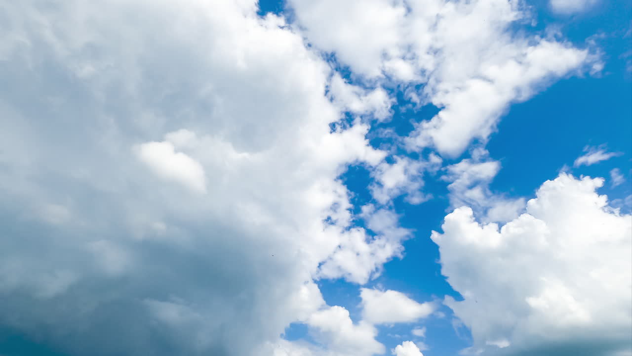 Amazingly blue skies with dramatic clouds. Fluffy soft clouds moving by the sky. Timelapse. View from below.