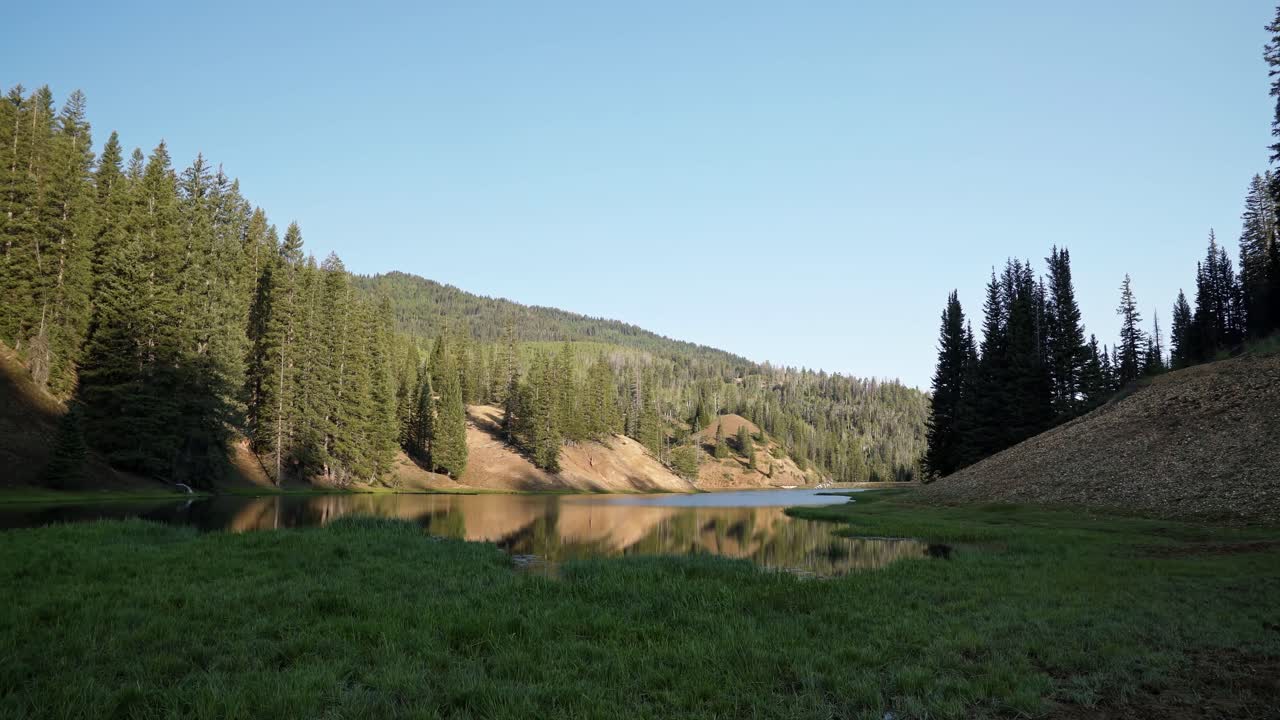 Tilt up shot of a stunning nature landscape view of Anderson Meadow Reservoir up Beaver Canyon in Utah with a field of grass, large pine trees on all sides and clouds on a warm sunny summer day