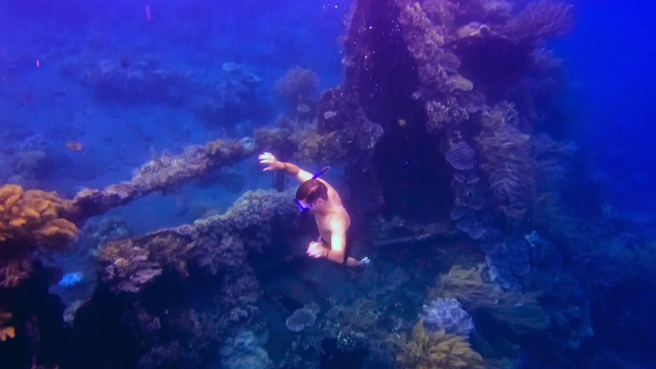 un hombre se sumerge en impresionantes y coloridos arrecifes de coral en un naufragio en el océano azul